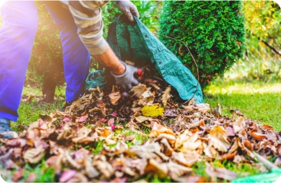 Yard Cleanup